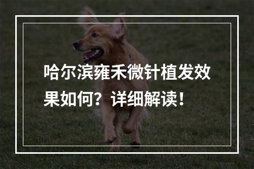 哈尔滨雍禾微针植发效果如何？详细解读！