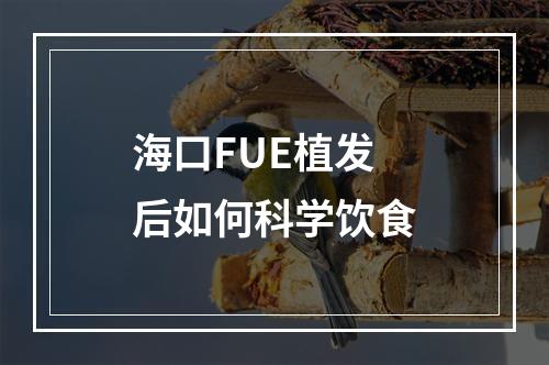 海口FUE植发后如何科学饮食