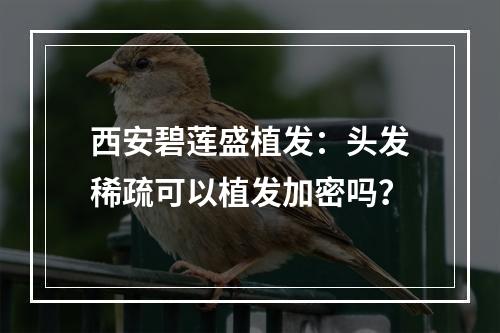 西安碧莲盛植发：头发稀疏可以植发加密吗？