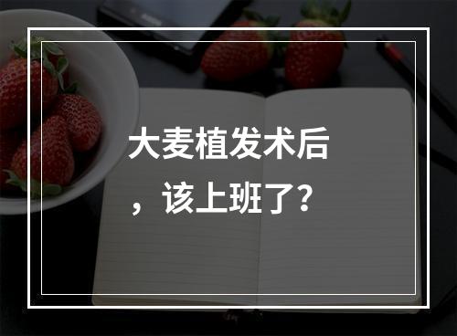 大麦植发术后，该上班了？