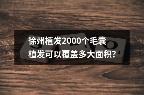 徐州植发2000个毛囊植发可以覆盖多大面积？