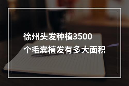 徐州头发种植3500个毛囊植发有多大面积