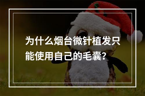 为什么烟台微针植发只能使用自己的毛囊？