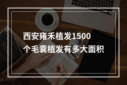 西安雍禾植发1500个毛囊植发有多大面积