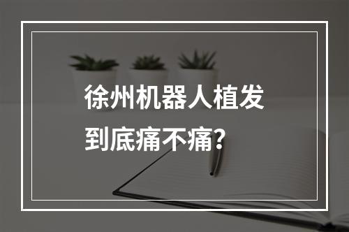 徐州机器人植发到底痛不痛？