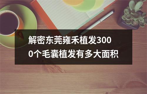 解密东莞雍禾植发3000个毛囊植发有多大面积