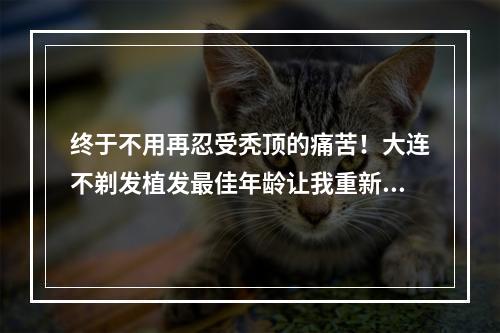 终于不用再忍受秃顶的痛苦！大连不剃发植发最佳年龄让我重新找回自信