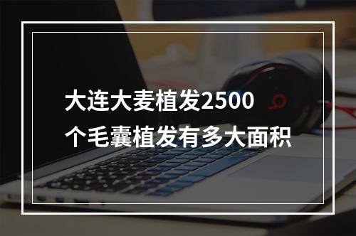 大连大麦植发2500个毛囊植发有多大面积