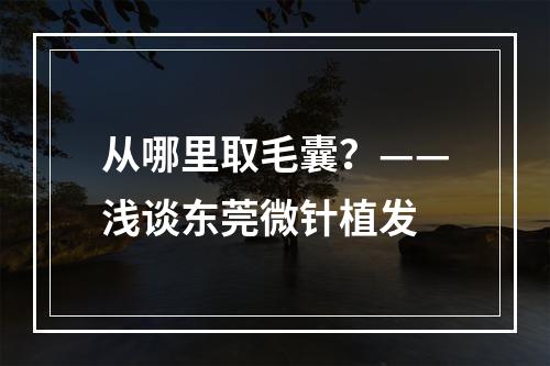 从哪里取毛囊？——浅谈东莞微针植发