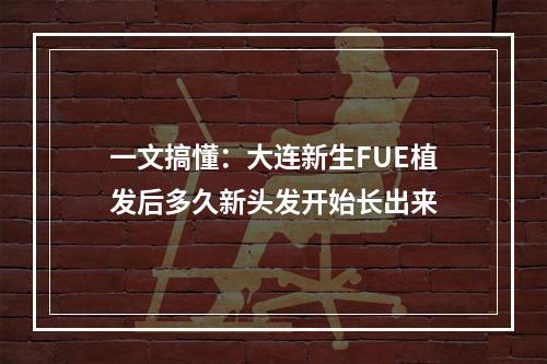 一文搞懂：大连新生FUE植发后多久新头发开始长出来