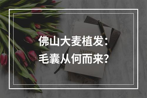 佛山大麦植发：毛囊从何而来？