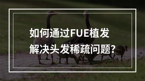 如何通过FUE植发解决头发稀疏问题？