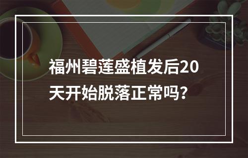 福州碧莲盛植发后20天开始脱落正常吗？