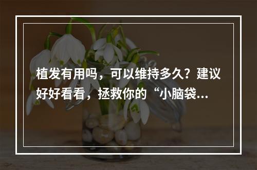 植发有用吗，可以维持多久？建议好好看看，拯救你的“小脑袋”