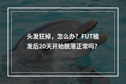 头发狂掉，怎么办？FUT植发后20天开始脱落正常吗？