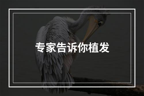 专家告诉你植发