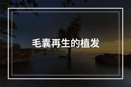 毛囊再生的植发