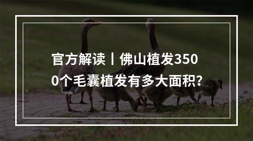 官方解读丨佛山植发3500个毛囊植发有多大面积？