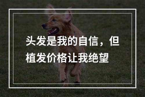 头发是我的自信，但植发价格让我绝望