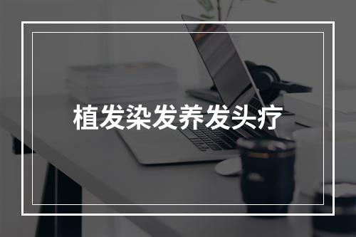 植发染发养发头疗