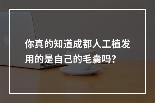 你真的知道成都人工植发用的是自己的毛囊吗？