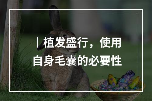 丨植发盛行，使用自身毛囊的必要性