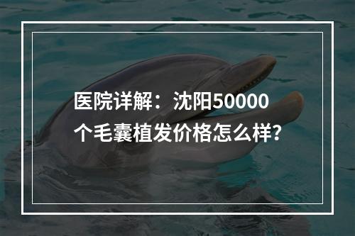 医院详解：沈阳50000个毛囊植发价格怎么样？