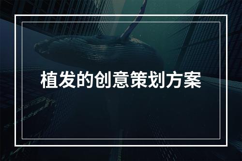 植发的创意策划方案