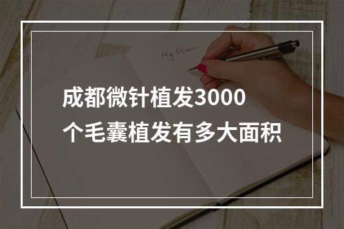 成都微针植发3000个毛囊植发有多大面积