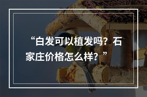 “白发可以植发吗？石家庄价格怎么样？”