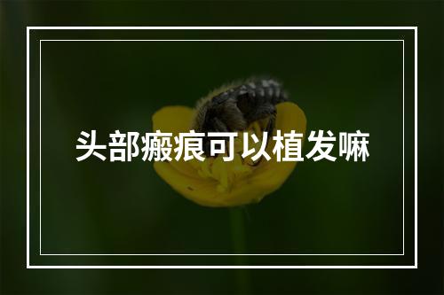 头部瘢痕可以植发嘛