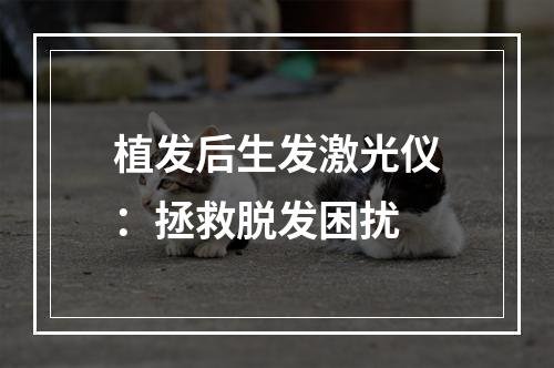 植发后生发激光仪：拯救脱发困扰