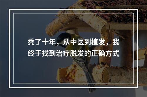 秃了十年，从中医到植发，我终于找到治疗脱发的正确方式