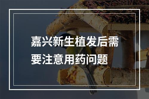 嘉兴新生植发后需要注意用药问题