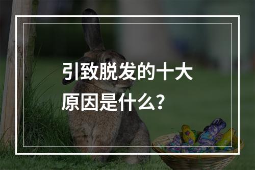 引致脱发的十大原因是什么？