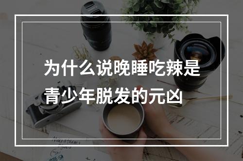 为什么说晚睡吃辣是青少年脱发的元凶