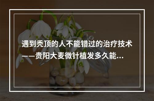 遇到秃顶的人不能错过的治疗技术——贵阳大麦微针植发多久能长出新头发