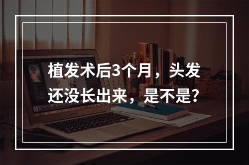 植发术后3个月，头发还没长出来，是不是？