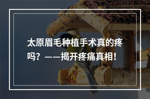 太原眉毛种植手术真的疼吗？——揭开疼痛真相！