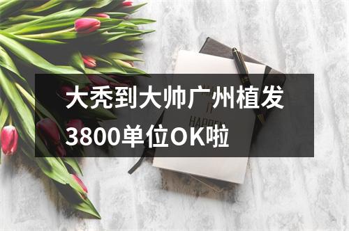 大秃到大帅广州植发3800单位OK啦