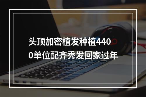 头顶加密植发种植4400单位配齐秀发回家过年