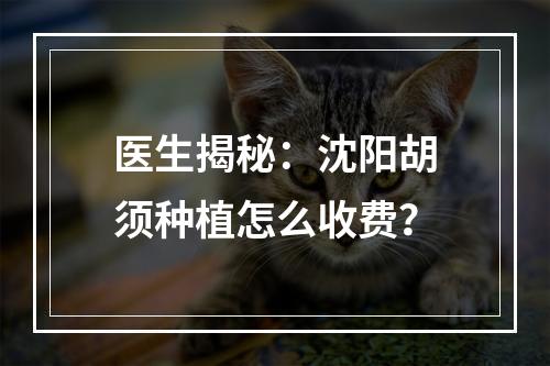 医生揭秘：沈阳胡须种植怎么收费？