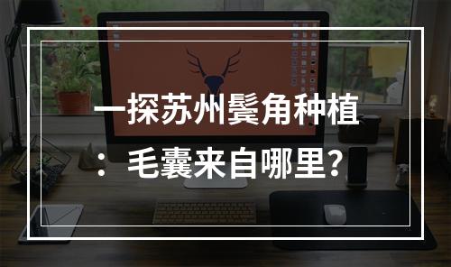 一探苏州鬓角种植：毛囊来自哪里？