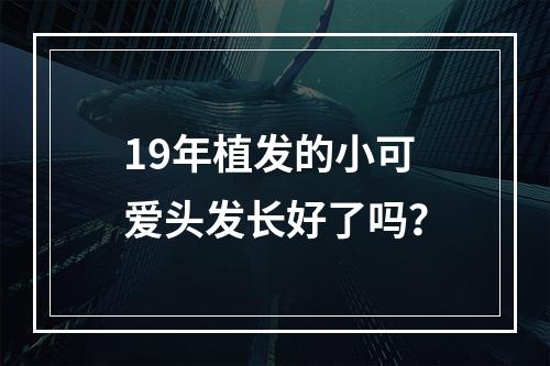 19年植发的小可爱头发长好了吗？