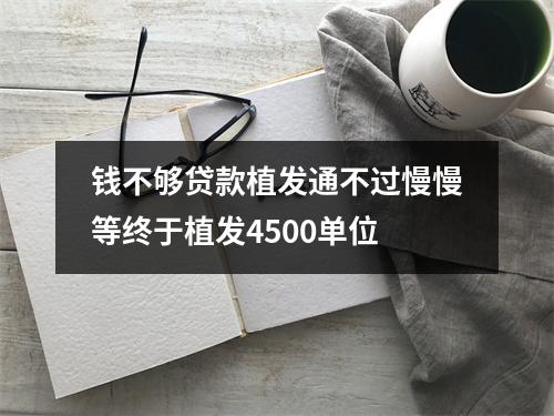 钱不够贷款植发通不过慢慢等终于植发4500单位