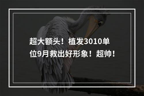 超大额头！植发3010单位9月救出好形象！超帅！