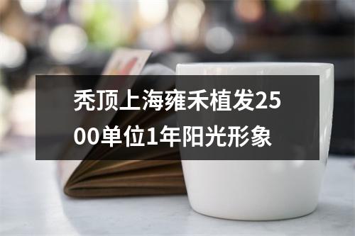 秃顶上海雍禾植发2500单位1年阳光形象