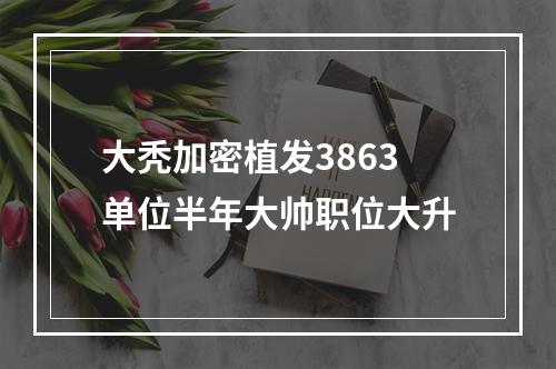 大秃加密植发3863单位半年大帅职位大升