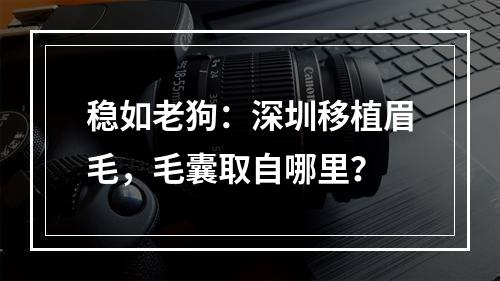 稳如老狗：深圳移植眉毛，毛囊取自哪里？