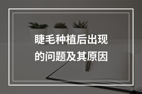 睫毛种植后出现的问题及其原因